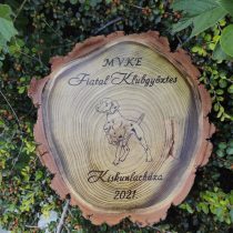 Fatörzs szelet - tábla - kutyakiállítás